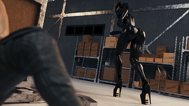 Cybernetic Seduction - Season 2