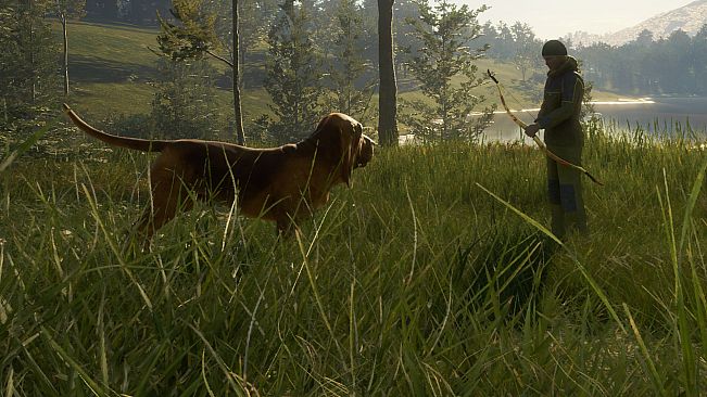 theHunter: Call of the Wild - Bloodhound