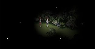 星星落下的夜晚