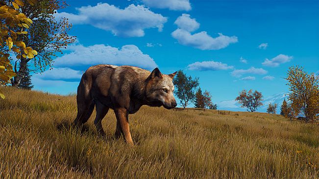 Way of the Hunter - Lintukoto Reserve