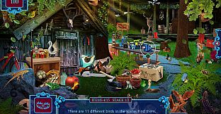 Lost & Found Agency Collector's Edition