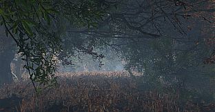 maze to the old castle