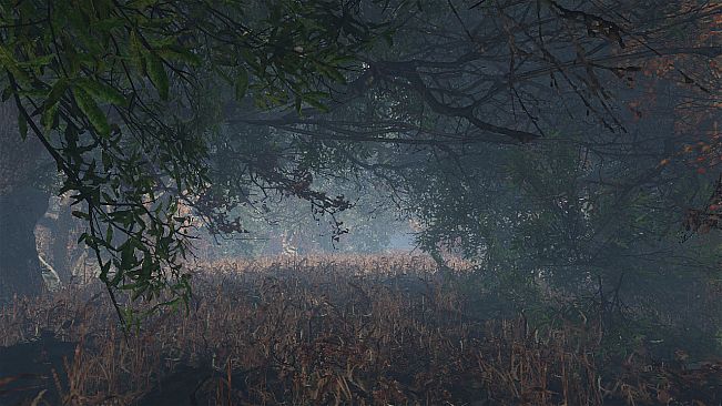 maze to the old castle