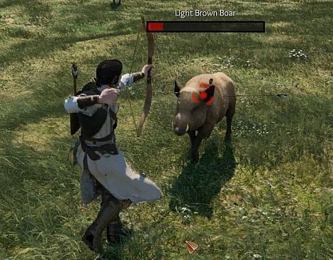 Order of the Elements