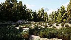 The Cadet Files : Scene Unseen