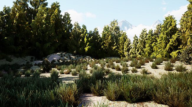 The Cadet Files : Scene Unseen