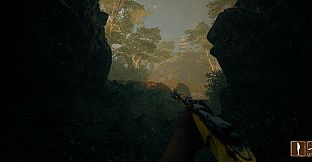 Their Land - Golden Rifle Skin