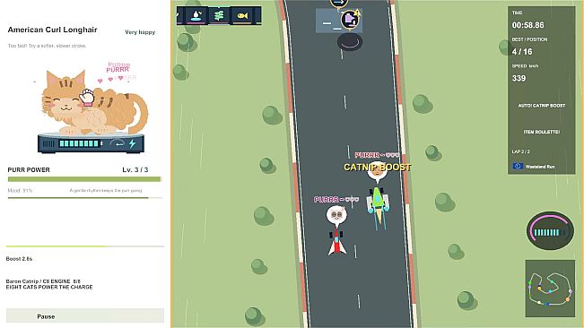 CatPurrEngineRace