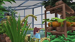 Cave Oasis at Shylake