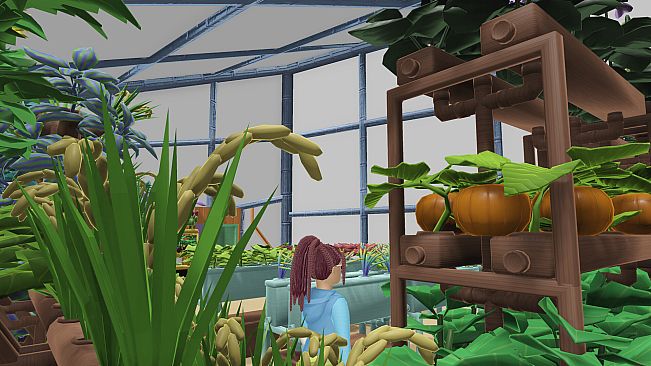 Cave Oasis at Shylake