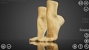 HAELE 3D - Feet Poses Lite - Drawing References