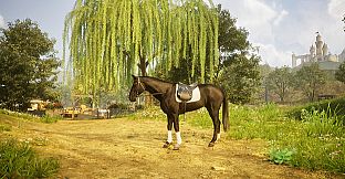 Ravenfall - Horse Game