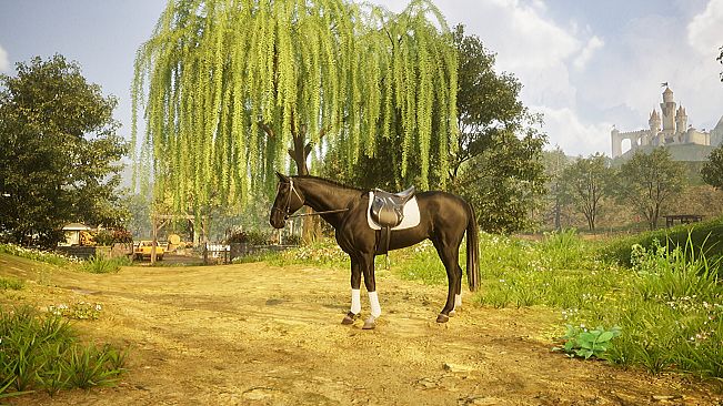 Ravenfall - Horse Game