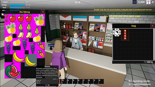 Plum Blossom Divination