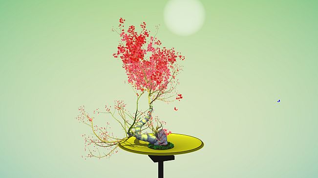 Tree Bonsai