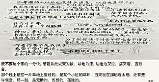 家长看不见的日记