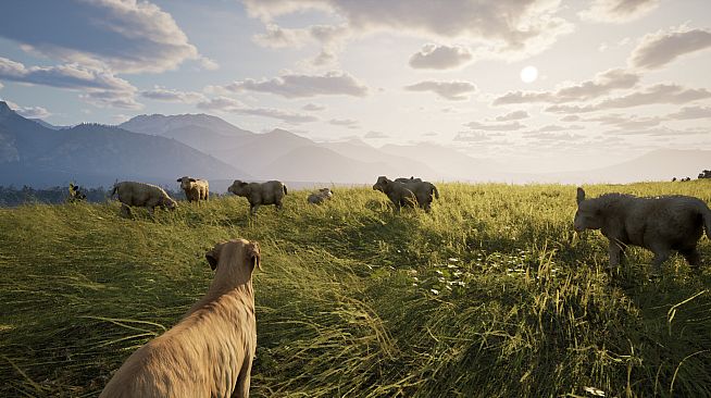 GORAL: Highlander Simulator