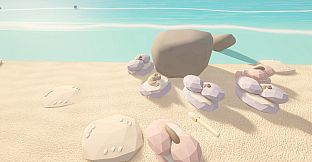 Seashell Hoarder