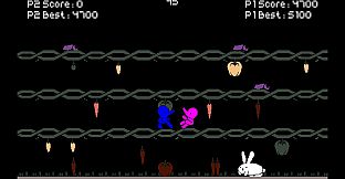 Bunny's Bodacious Buffet Bonanza