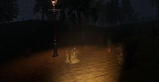 The Home