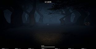 Night at the Fun Park