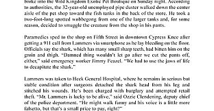 Knee Deep - Digital Playbill and Soundtrack