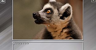 Super Jigsaw Puzzle: Generations - Random Animals Puzzles