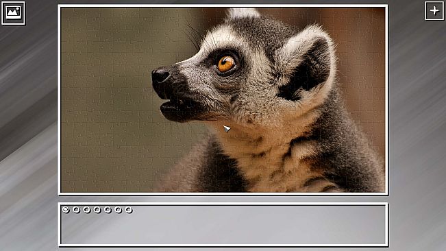 Super Jigsaw Puzzle: Generations - Random Animals Puzzles