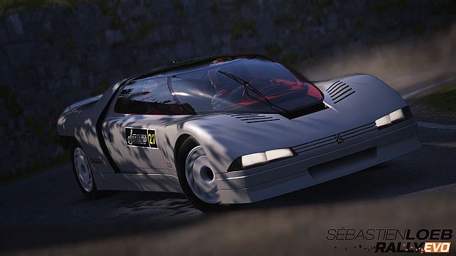 Sébastien Loeb Rally EVO - Class S The Prototypes