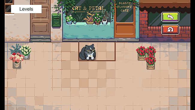 Too Many Cats in the Plant Shop!