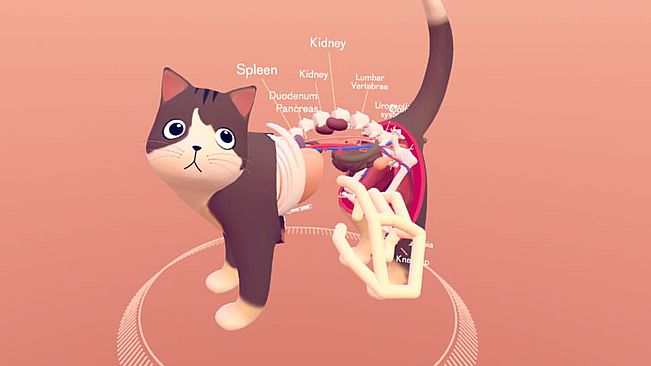 Ultraleap Gemini - Cat Explorer