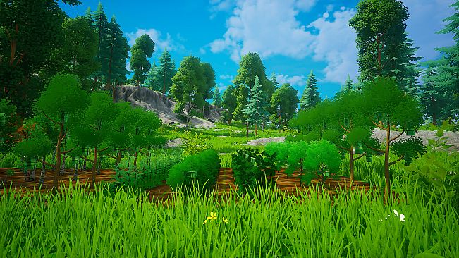 My Money Grows On Trees