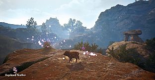 Adorable Adventures