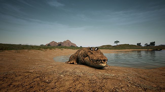 Animalia Survival EggHunt