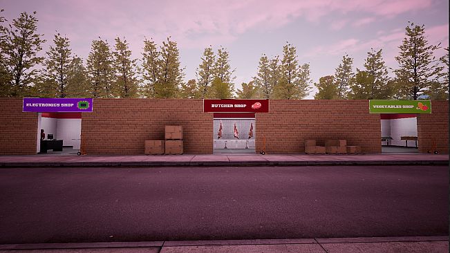 TRADER LIFE SIMULATOR