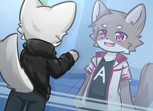 Illusion：Trust test