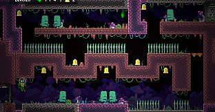 The Alligators Bundle