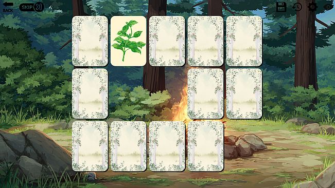 Wilderness with Tomboy