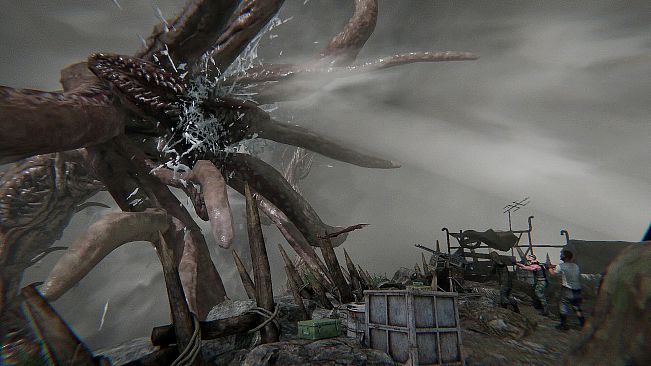 Viva Games Collection