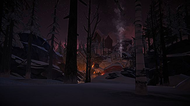 The Long Dark