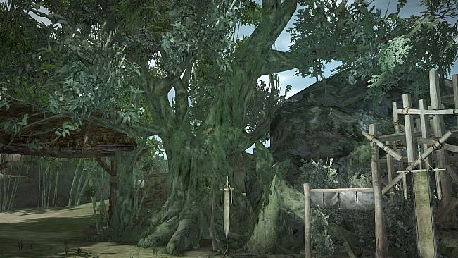 DW8E: Castle and Scenario Pack