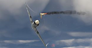 Aces of Thunder - P-40E-1