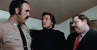 ROUGH KUTS: Invasion of the Bee Girls