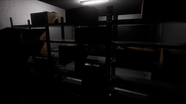 The Confined: Basement
