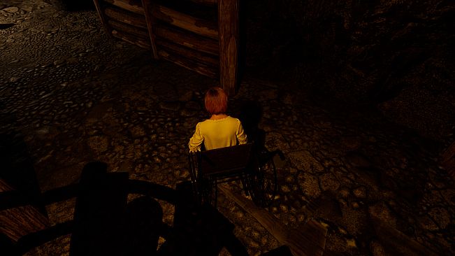 Sur: Wheelchair Horror