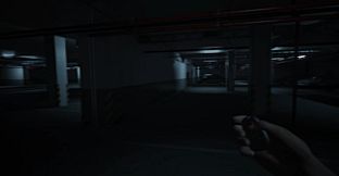 Level P