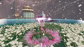 How To Catch A Firefly