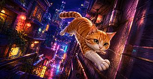 猫猫跑酷