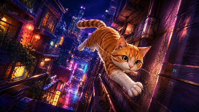 猫猫跑酷