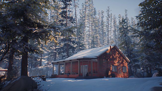 Life is Strange 2 - Arcadia Bay Patches DLC